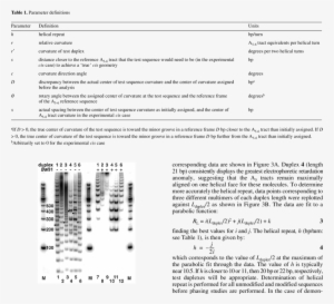 Image Obtained After Native Gel Electrophoresis Of - Gel Electrophoresis #3984693