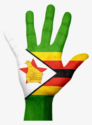 In Zimbabwe, Being Smart Was The “cool” Thing - Zimbabwe Flag Vector #3986012