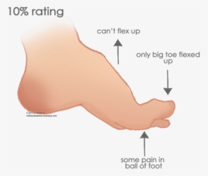 The Foot 6 - Toe Flex #3986622