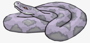 Coiled Snake Svg Clip Arts 600 X 286 Px #3987817