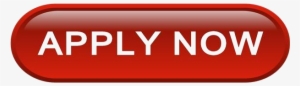 Apply Now Button - Apply Now #3987864