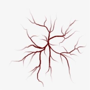 Png Veins #3988493