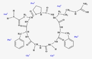 A New Cycloheptapeptide From Zanthoxylum Mezoneurispinosum - Diagram #3989196