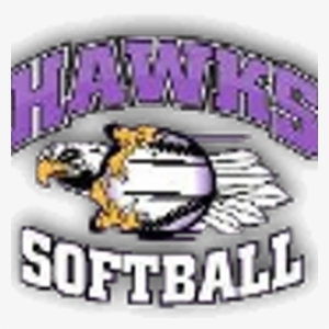 Mizuno Hawks - Logo #3989801
