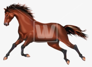 Galloping Wild Mustang - Horse #3990023