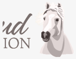 Wild Horse Advocates Appeal Court Decision - Logo #3990229