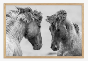 Wild Horses Ls #3990290