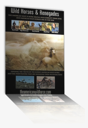 Exposing The Truth Of The Iconic American Wild Horse - Horse #3990314
