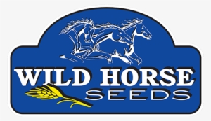 Wildhorse Seeds #3990443