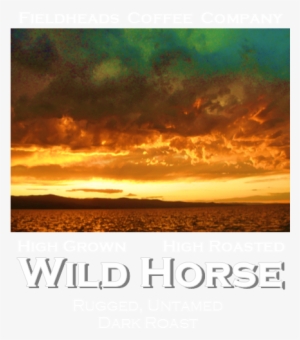 Wild Horse Blend Coffee - Poster #3990531