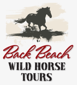 Back Beach Wild Horse Tours Tours In Open Safari Cars - Neil Young & Crazy Horse: Canadian Horsepower (dvd) #3990750