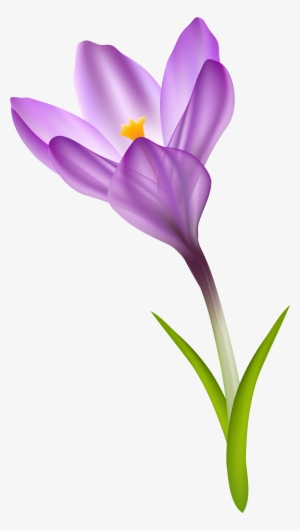 Crocus Clip Art Free #3991570