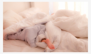 Cute Birds Animated Best Bird - Bed #3991831