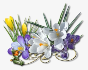 2015 03 06 Separateur Crocus - Centerblog Fr Perceneige Png #3991951