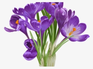 Clipart Of Beautiful Plants #3991983