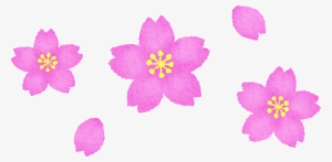 Cherry Blossom #3992050