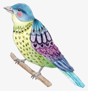 Painted Cute Bird Png Transparent - Bird #3992076