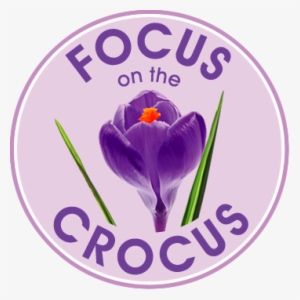 Focus On The Crocus - Crocus #3992251