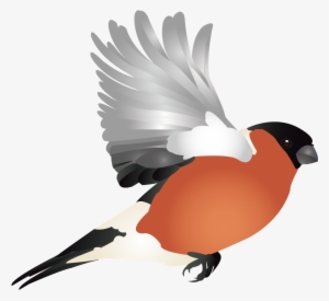 Vector Graphics #3992362