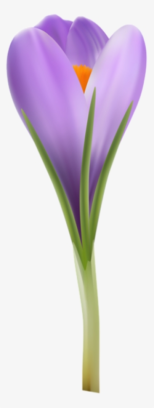 0, - Portable Network Graphics #3992428