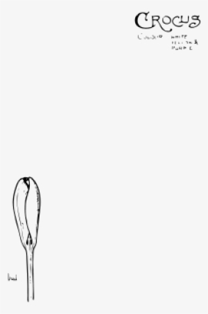 Crocus Flower Png Images - Openclipart #3992477