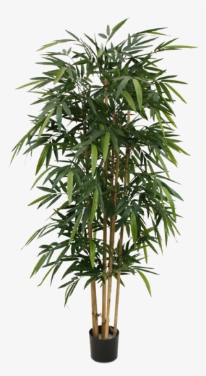 The Bestseller Amoung Our Artificial Trees In A Very - Parlor Palm Tree #3993287