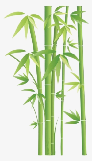 Bamboo Tree Png - Pmp Bamboo Fitted Sheet #3993609