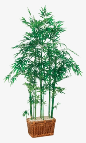 Silk Bamboo Tree In Rectangle Basket - Nearly Natural 5294 Bamboo Silk Tree #3993646