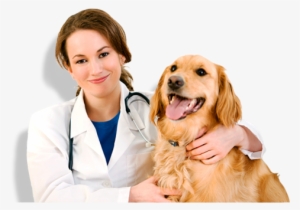 About Vets Choice D - Vet S #3993780