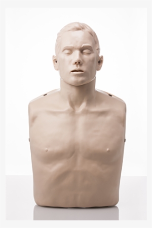 Brayden Cpr Manikin - Brayden Cpr Manikin Basic #3993832