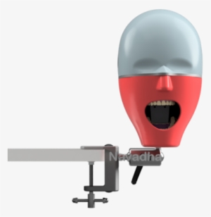 Navadha Isim Bench Mount Dental Manikin Phantom Head, - Navadha Adc Manikin Bench Mount #3994140