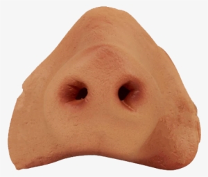 Nose Png Photo - Pig Nose Png #3994183