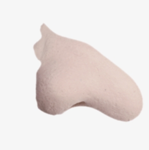 Witch Nose - Nose #3994221 Witch Nose - Nose #3994221