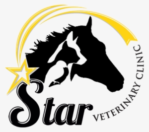 Star Vet - Star Vet Clinic #3994520