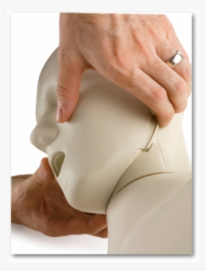 Prestan Ultralite Cpr Manikins 4-pack #3994736