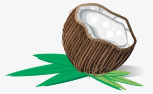 Medium Image - Buah Kelapa Vector #3994796