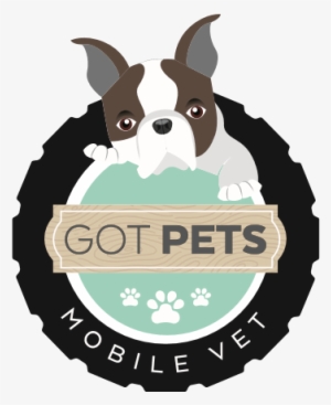 Got Pets Mobile Vet #3995250