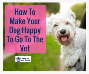 Do Dogs Stick Their Head Out #3995391