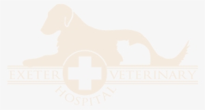 Exeter Veterinary Hospital #3995579