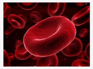 Life Of A Red Blood Cell - Blood Clot Crip Clot Meme #3995630