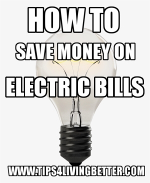Incandescent Light Bulb #3995786