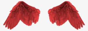 Red Angel Wing #3995814