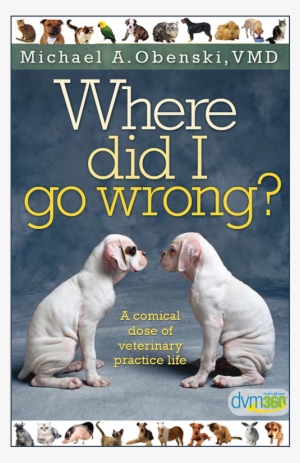 Did I Go Wrong #3995848 Did I Go Wrong #3995848