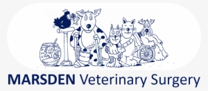 Jorvet Surgical Adhesive Tape 1 #3995908