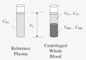 Blood Plasma Partitioning - Blood Plasma #3995912
