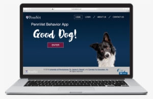 In Partnership With University Of Pennsylvania's School - Veterinary Physician #3996020