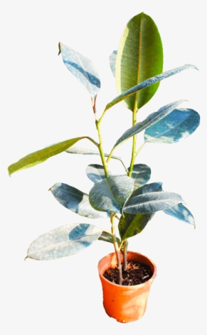 If You Like This Template And Want To Use Them, Please - Flowerpot #3997550