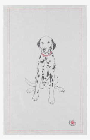 Dalmatian #3998077