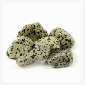 Jasper Dalmation 1 Pcs 40-50mm - Pitaya #3998911
