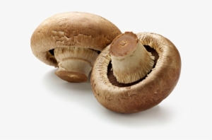 Toadstool Png Download Image - Brown Mushrooms #3999883